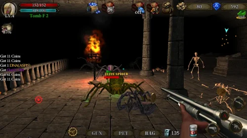Dungeon Shooter : Dark Temple screenshot 6