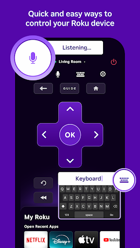 Roku screenshot 6