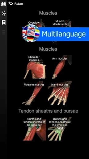 Anatomy Learning MOD screenshot 6