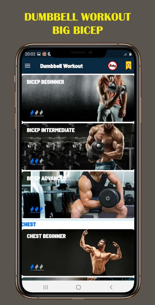 Dumbbell Home – Gym Workout screenshot 6