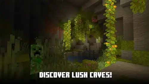 Minecraft MOD screenshot 7