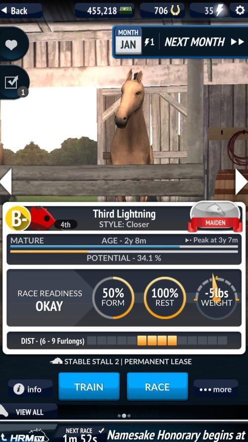 Horse Racing Manager 2025 screenshot 7