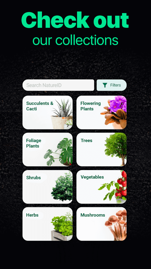 NatureID screenshot 7