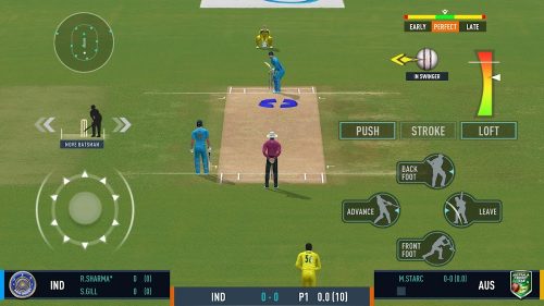 Real Cricket 24 screenshot 7