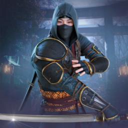 Shadow Ninja Guerrero de Lucha