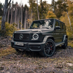 Viaje a Offroad