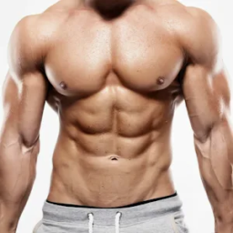Treino Pro Gym