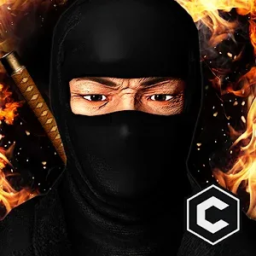 Asesino Ninja