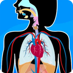Anatomía Humana – Partes del cuerpo (Anatomix)