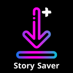 Descargador de Videos y Stories