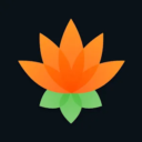 Lotus Chess – Opening Trainer