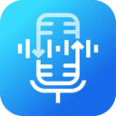 Video Voice Changer Pro