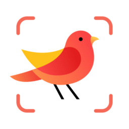 Picture Bird – Identificador de Pássaros