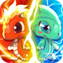 Dragon Pocket