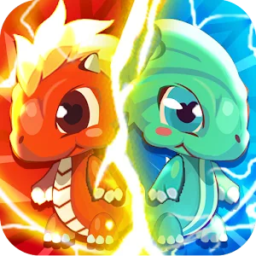 Dragon Pocket