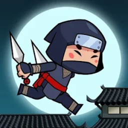 Ninja Stupid: Memoria Escolar