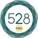 528 Player Pro