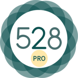 528 Player Pro