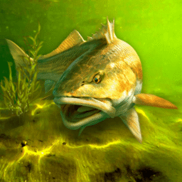 Mi Mundo de Pesca