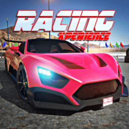 Racing Xperience: Simulador de Conducción