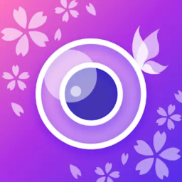 YouCam Perfect MOD