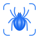 Picture Insect: Bug Identifier