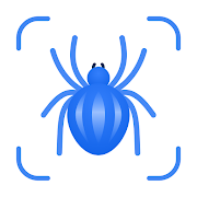 Picture Insect: Bug Identifier