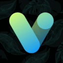 Vera Icon Pack MOD