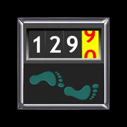 Podómetro Walking Odometer Pro