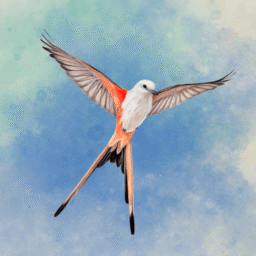 Wingspan: O Jogo de Tabuleiro