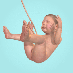 Idle 9 Meses