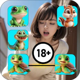 Adult Onet Match Girl Game