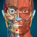 Anatomy Learning MOD