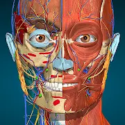 Anatomy Learning MOD