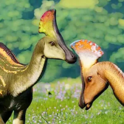 Simulador Olorotitan