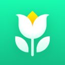 Plant Parent MOD
