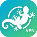 GeckoVPN