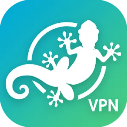 GeckoVPN