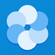 Bluecoins Finance