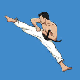 Dominando Taekwondo em Casa