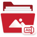Rename & Organize with EXIF (Batch Rename and Organize)