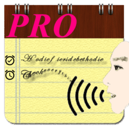 Voice Notes (Pro)