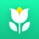 Plant Parent: Plant Care Guide