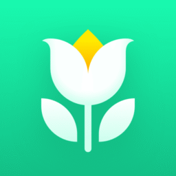 Plant Parent: Guia de Cuidados com Plantas