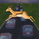 Animal Pets Traffic Highway