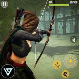 Ninja Arquero Asesino Tirador