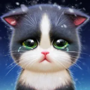 Kitten Match-Mansion & Pet Makeover