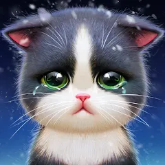 Kitten Match-Mansion & Pet Makeover