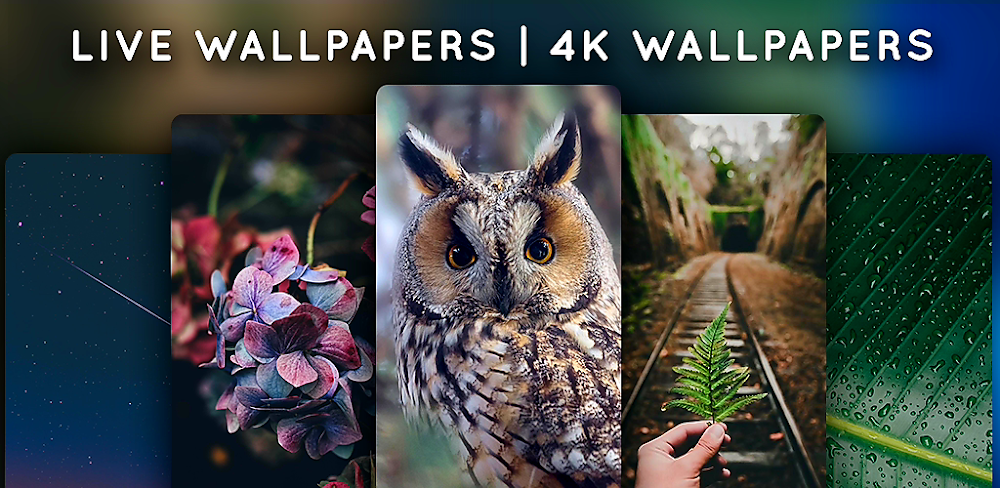 Live Wallpapers, 4K Wallpapers screenshot 1