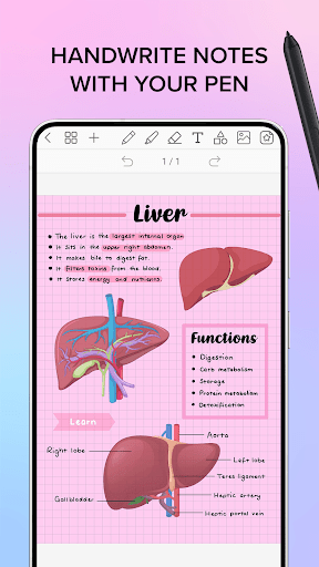 Penly MOD screenshot 1